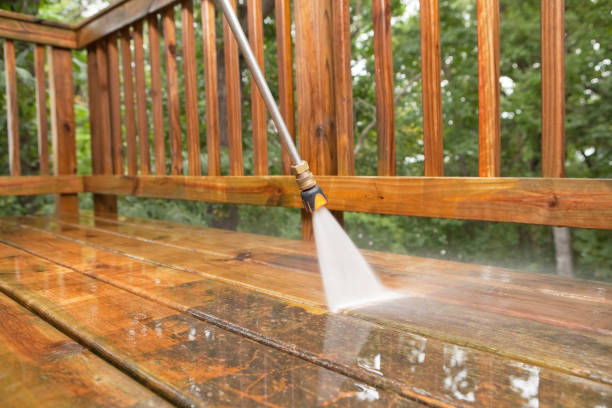 Best Rust Removal  in Harrogate, TN