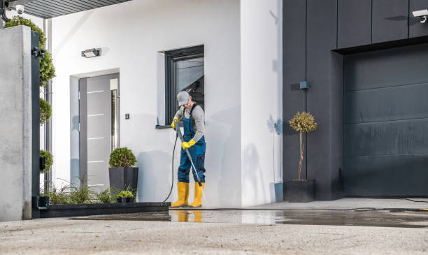 Trusted Harrogate, TN  Pressure Washing Services Experts